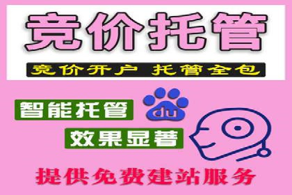 SEM推广公司案例：打造行业口碑传播典范